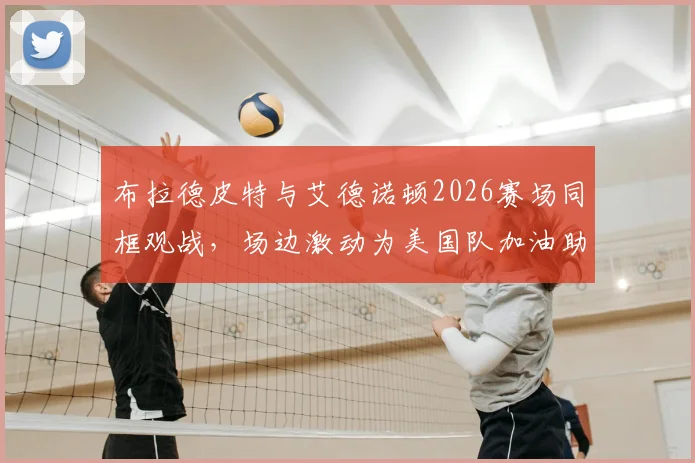 布拉德皮特与艾德诺顿2026赛场同框观战,场边激动为美国队加油助威画面全记录