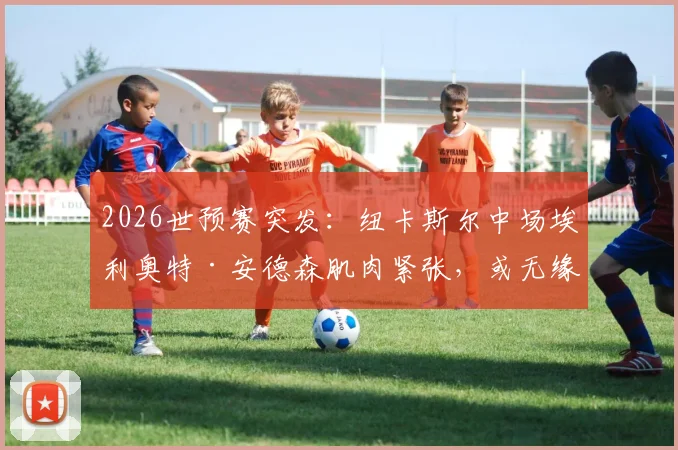 2026世预赛突发：纽卡斯尔中场埃利奥特·安德森肌肉紧张，或无缘对阵巴拿马关键战，详细伤情解析与影响评估